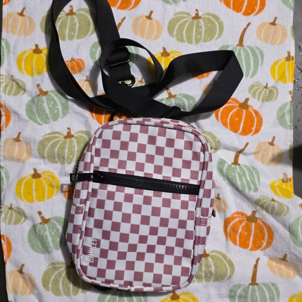 EUC Pink Checkered Brixley Bag